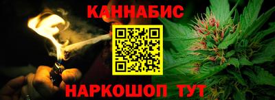 шишки Шелехов